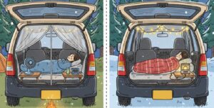 夏と冬の車中泊対策を示すイラスト