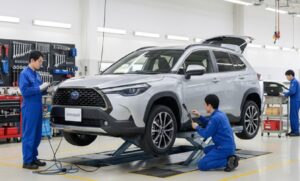 ネクステージ プレミアムケアパックの費用と保証の実態
