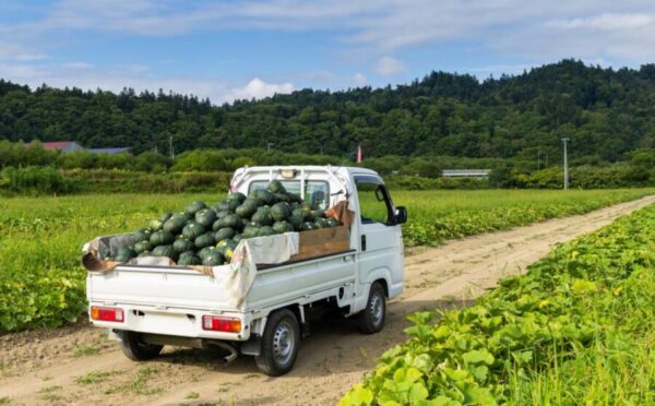 トヨタのピクシス トラックをイメージした白い軽トラック。緑豊かな農地で荷台に収穫した野菜のコンテナを積み、農作業や農産物の運搬に活躍する様子。